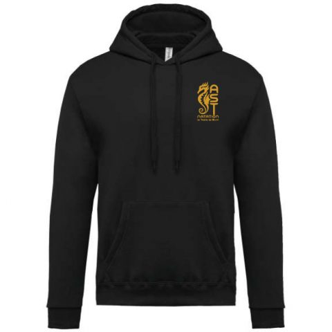 Sweat capuche AST