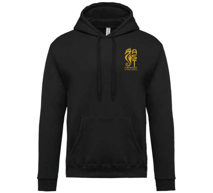 Sweat capuche AST